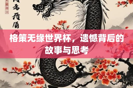 格策无缘世界杯，遗憾背后的故事与思考