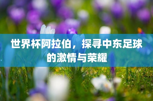 世界杯阿拉伯，探寻中东足球的激情与荣耀
