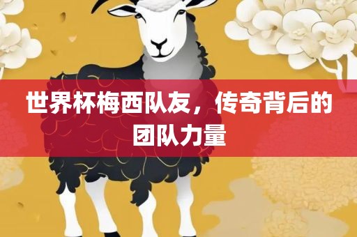 世界杯梅西队友，传奇背后的团队力量