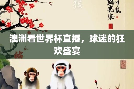 澳洲看世界杯直播，球迷的狂欢盛宴