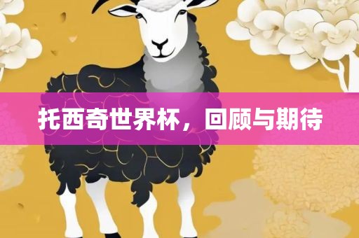 托西奇世界杯，回顾与期待