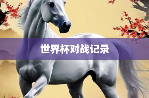 世界杯对战记录