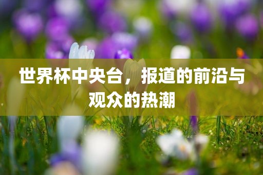 世界杯中央台，报道的前沿与观众的热潮
