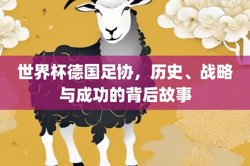 世界杯德国足协，历史、战略与成功的背后故事