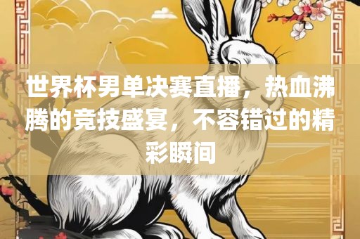 世界杯男单决赛直播，热血沸腾的竞技盛宴，不容错过的精彩瞬间