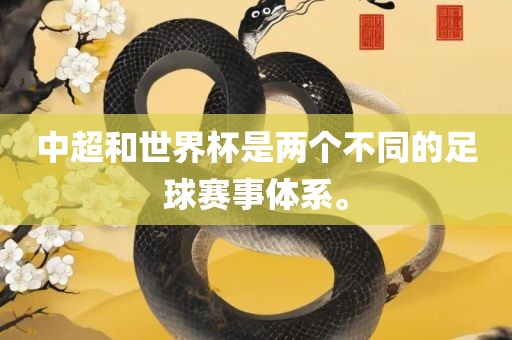中超和世界杯是两个不同的足球赛事体系。