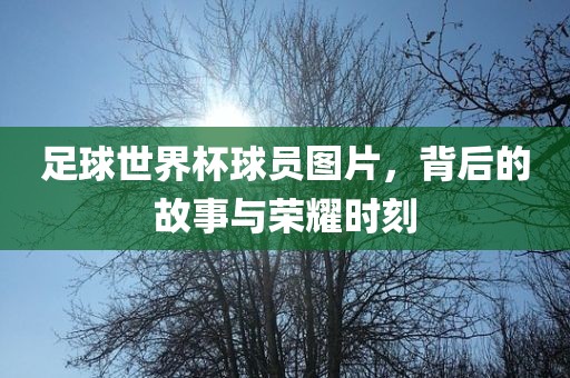 荣耀时刻与背后故事