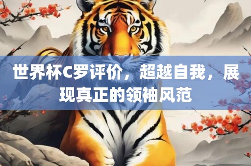 世界杯C罗评价，超越自我，展现真正的领袖风范