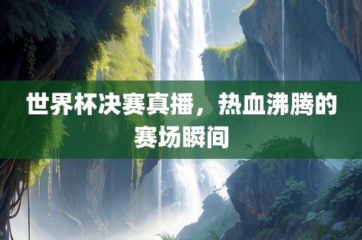 世界杯决赛真播，热血沸腾的赛场瞬间