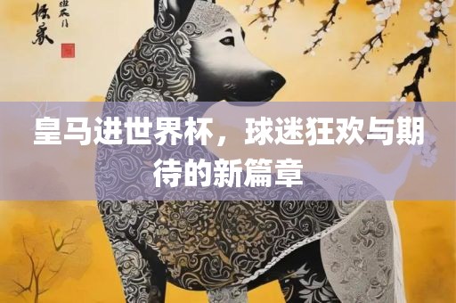 皇马进世界杯，球迷狂欢与期待的新篇章