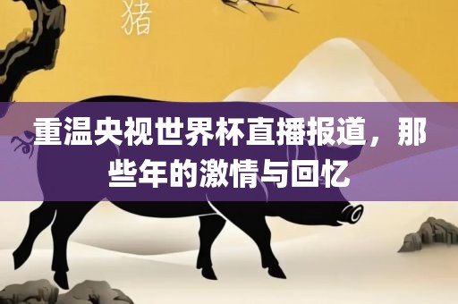 重温央视世界杯直播报道，那些年的激情与回忆