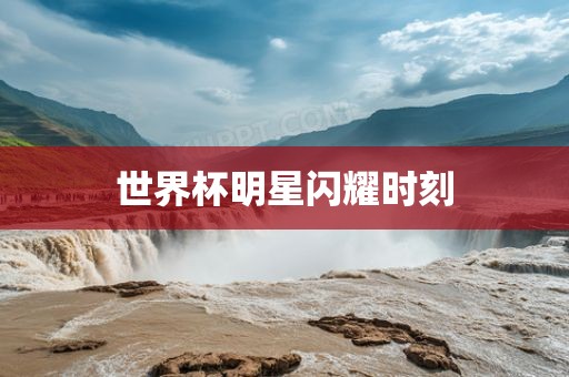 世界杯明星闪耀时刻眉山市正发家政服务有限公司