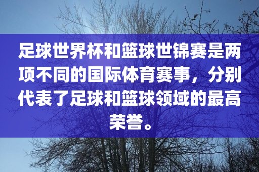足球世界杯和篮球世锦赛是两项不同的国际体育赛事，分别代表了足球和篮球领域的最高荣誉。