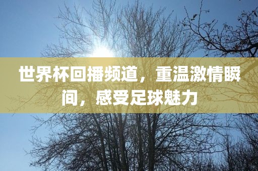 世界杯回播频道，重温激情瞬间，感受足球魅力