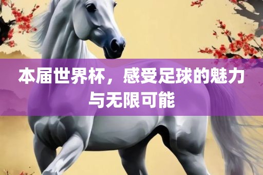 本届世界杯，感受足球的魅力与无限可能