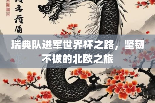 瑞典队进军世界杯之路，坚韧不拔的北欧之旅
