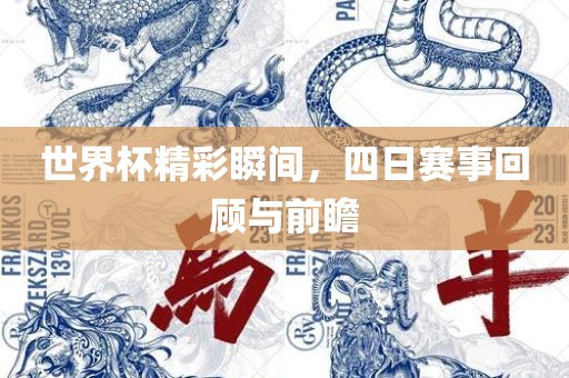 世界杯精彩瞬间，四日赛事回顾与前瞻