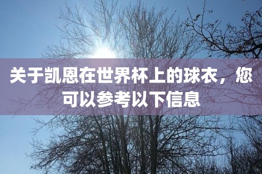 关于凯恩在世界杯上的球衣，您可以参考以下信息