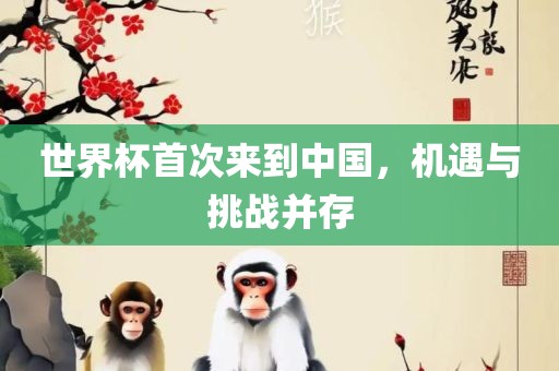 世界杯首次来到中国，机遇与挑战并存