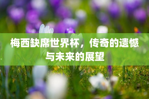 梅西缺席世界杯，传奇的遗憾与未来的展望