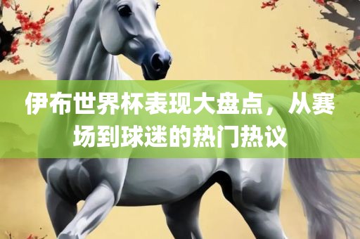 伊布世界杯表现大盘点，从赛场到球迷的热门热议