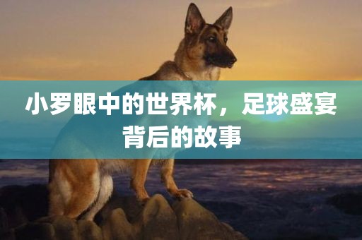 小罗眼中的世界杯，足球盛宴背后的故事