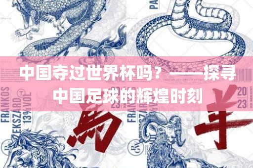 中国夺过世界杯吗？——探寻中国足球的辉煌时刻
