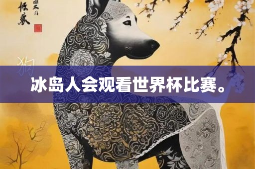 冰岛人会观看世界杯比赛。