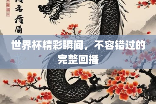 世界杯精彩瞬间，不容错过的完整回播