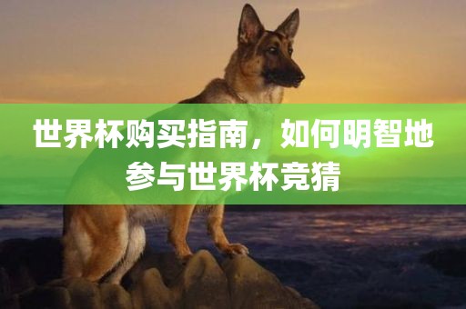 世界杯购买指南，如何明智地参与世界杯竞猜