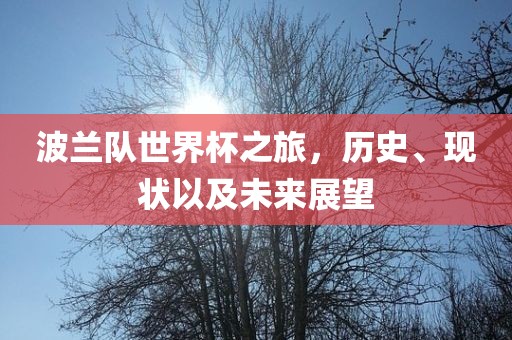 波兰队世界杯之旅，历史、现状以及未来展望