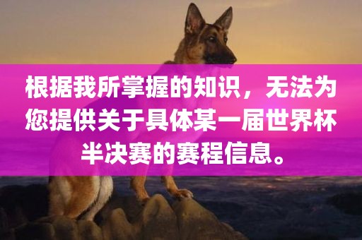 根据我所掌握的知识，无法为您提供关于具体某一届世界杯半决赛的赛程信息。