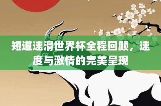 短道速滑世界杯全程回顾，速度与激情的完美呈现