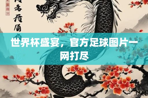 世界杯盛宴，官方足球图片一网打尽