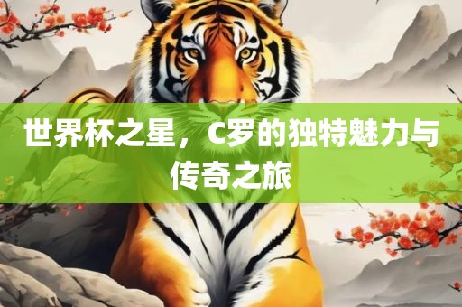 世界杯之星，C罗的独特魅力与传奇之旅