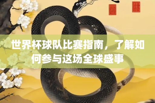 世界杯球队比赛指南，了解如何参与这场全球盛事