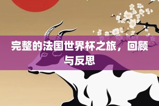 完整的法国世界杯之旅，回顾与反思