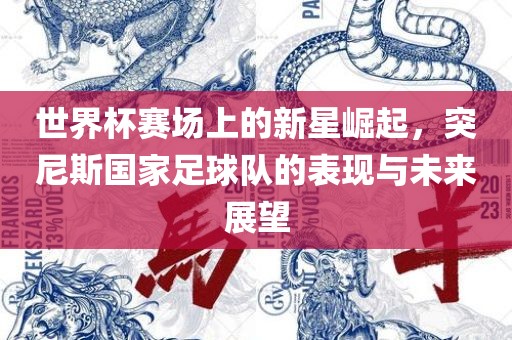 世界杯赛场上的新星崛起，突尼斯国家足球队的表现与未来展望