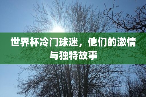 世界杯冷门球迷，他们的激情与独特故事