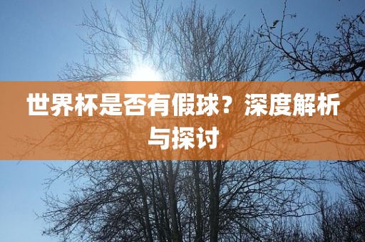 世界杯是否有假球？深度解析与探讨