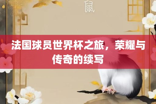 法国球员世界杯之旅，荣耀与传奇的续写