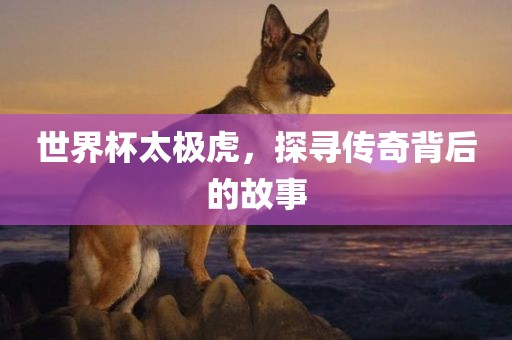 世界杯太极虎，探寻传奇背后的故事