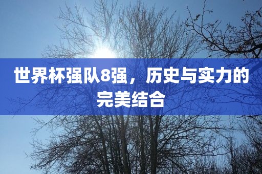 世界杯强队8强，历史与实力的完美结合