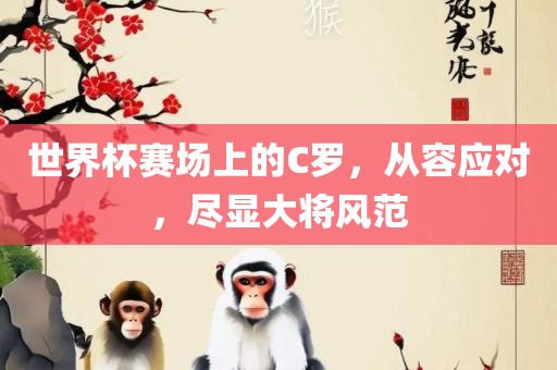 世界杯赛场上的C罗，从容应对，尽显大将风范