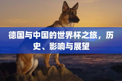 德国与中国的世界杯之旅，历史、影响与展望