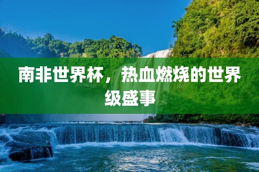 南非世界杯，热血燃烧的世界级盛事