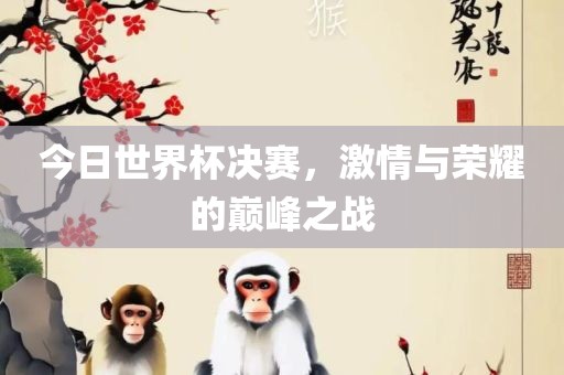 今日世界杯决赛，激情与荣耀的巅峰之战