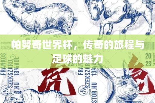 帕努奇世界杯，传奇的旅程与足球的魅力