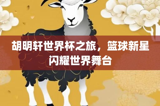 胡明轩世界杯之旅，篮球新星闪耀世界舞台
