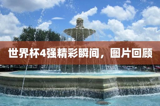 世界杯4强精彩瞬间，图片回顾